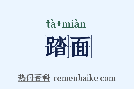 踏面是什么意思的图片